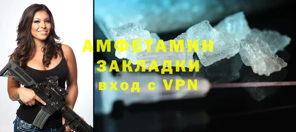 твердый Дедовск