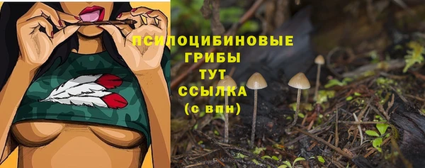 каннабис Алексин