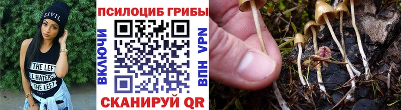 Галлюциногенные грибы ЛСД  Карачев 